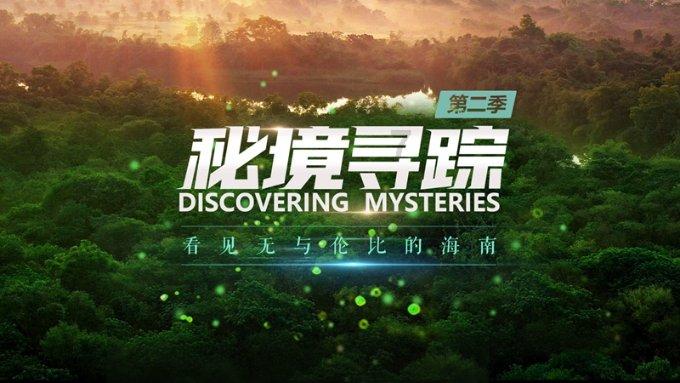 “龙年大集”年味浓 优惠多多等您来